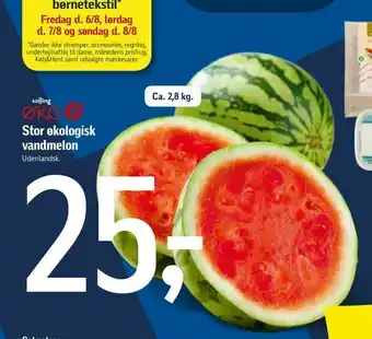 Føtex Stor økologisk vandmelon tilbud