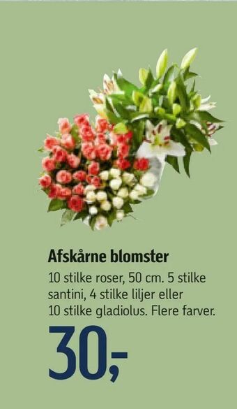 Afskårne blomster
