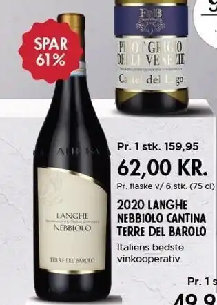 2020 langhe nebbiolo cantin terre del barolo
