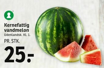 SPAR Kernefattig vandmelon tilbud