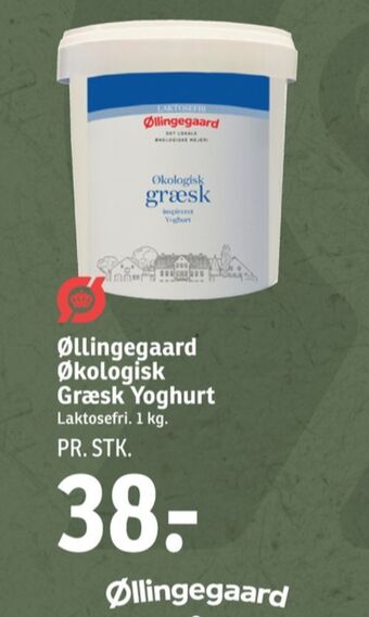 SPAR Øllingegaard yoghurt græsk tilbud