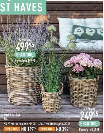 Kurv i rattan