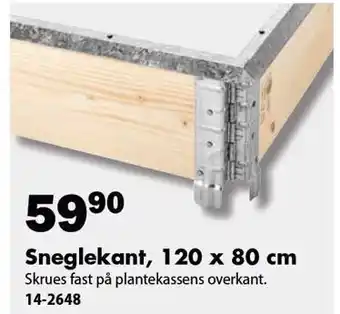 Sneglekant, 120 x 80 cm