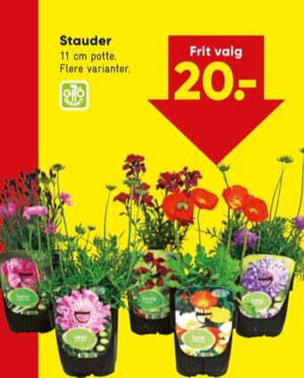 Ukendt planter