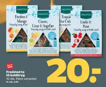 Netto Fredsted te til koldbryg tilbud