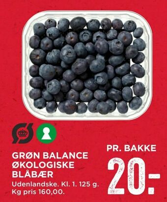 MENY Grøn balance økologiske blåbær tilbud