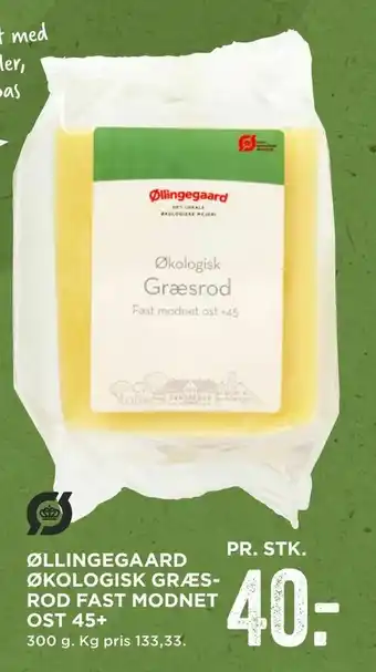 Øllingegaard økologisk græsrod fast modnet ost 45+