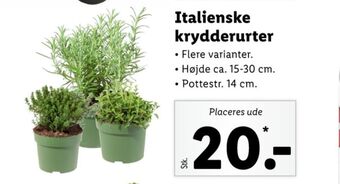 Lidl Ukendt planter tilbud