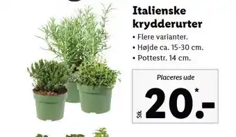 Lidl Italienske krydderurter tilbud