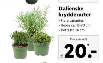 Lidl Italienske krydderurter tilbud