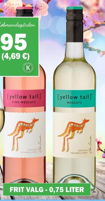 Yellow tail