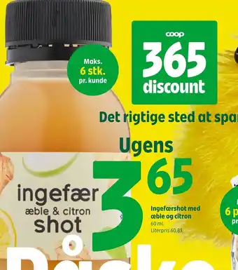 Ingefærshot Med æble Og Citron