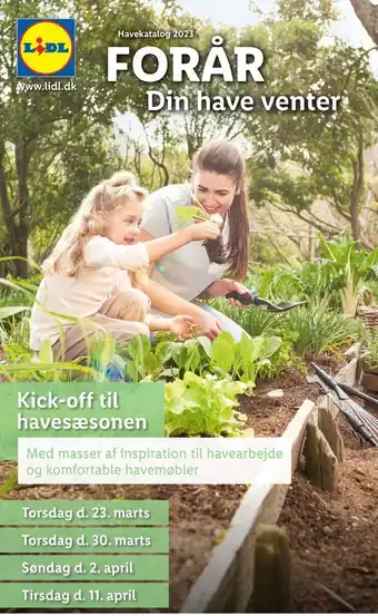 Lidl Lidl annonce tilbud