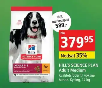HILL‘S SCIENCE PLAN Adult Medium