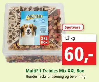 MultiFit Trainies Mix XXL Box