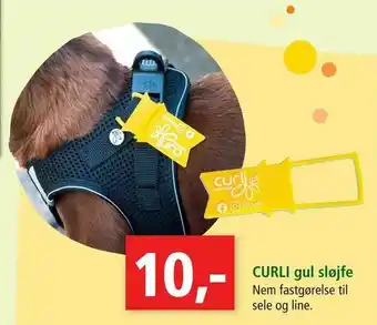 CURLI gul sløjfe