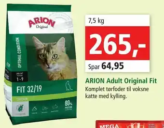 ARION Adult Original Fit