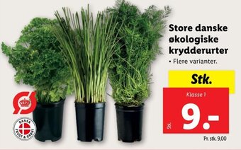 Store Danske økologiske Krydderurter