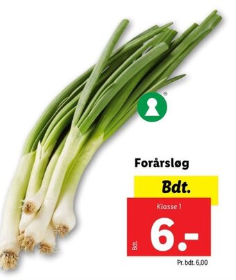 Lidl Forårsløg tilbud
