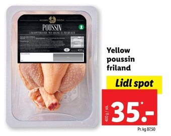 Yellow Poussin Friland