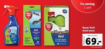 Bayer Kvit Mod Myre