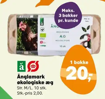 Änglamark økologiske æg