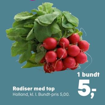 Radiser med top