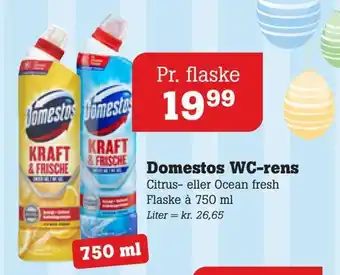 Domestos wc-rens