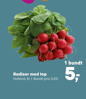 Radiser med top