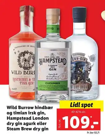 Lidl Wild burrow hindbær og timian irsk gin, hampstead london dry gin agurk eller steam brew dry gin tilbud
