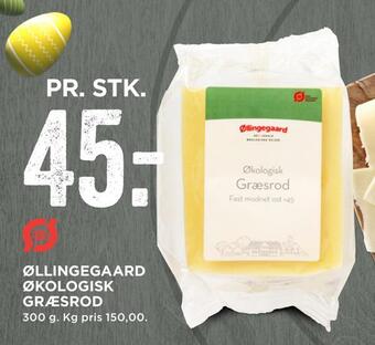 Øllingegaard økologisk græsrod