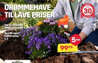 Byggmax Blomsterjord prima tilbud