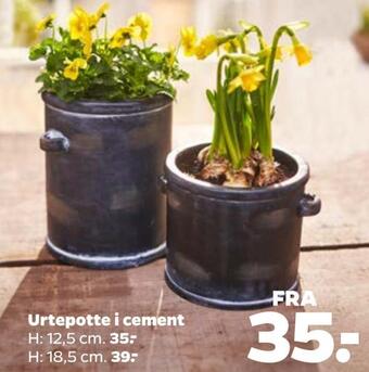 Netto Urtepotte i cement tilbud