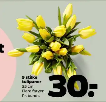 9 stilke tulipaner