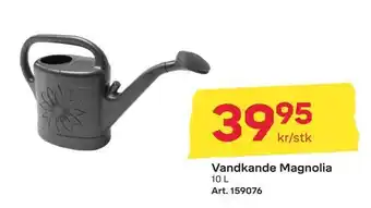 Vandkande magnolia