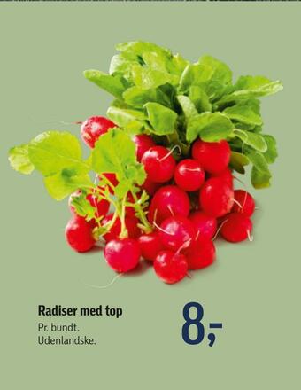 Føtex Radiser med top tilbud