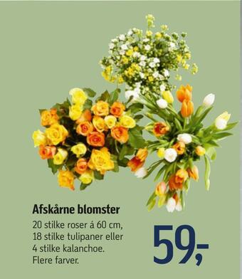 Føtex Afskårne blomster tilbud