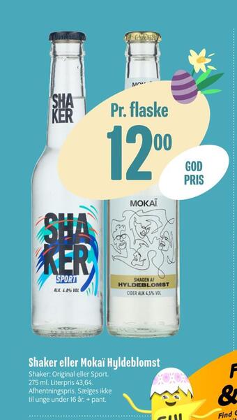 Shaker eller mokaï hyldeblomst