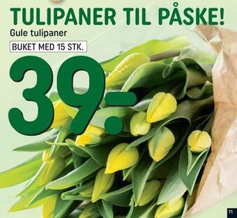 Gule tulipaner