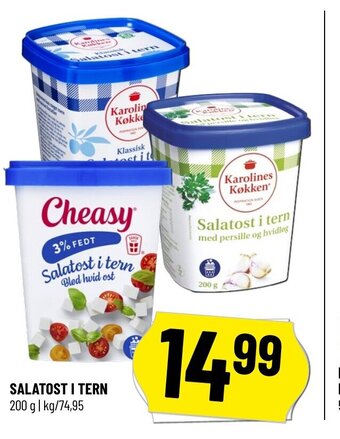 Salatost i Tern