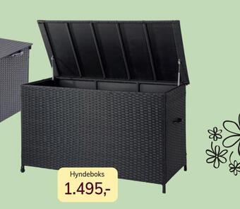 Daells Bolighus Stor hyndeboks tilbud