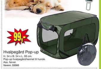 Hvalpegård pop-up