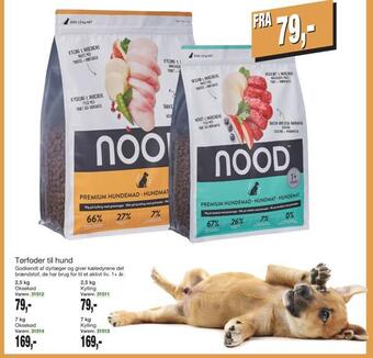 Tørfoder til hund