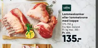 Bilka Ludvig lammeskank tilbud