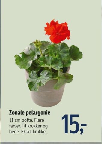 Føtex Ukendt planter tilbud