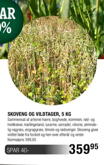 Ukendt frø