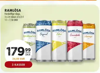 Scandinavian Park Citrus mineralvand tilbud