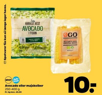 Netto Harvest best grøntsager tilbud