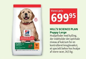 Maxi Zoo Science plan hundefoder tilbud