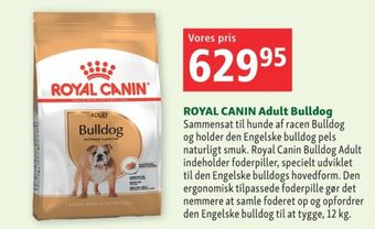 Maxi Zoo Royal canin hundefoder tilbud